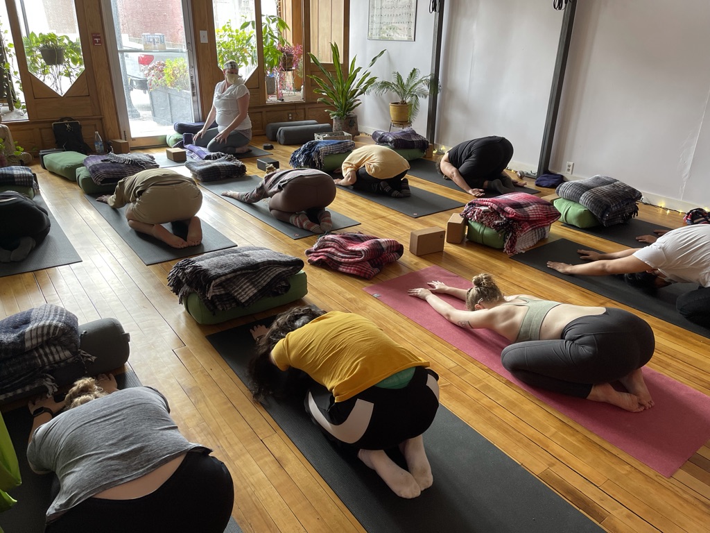 Yoga Teacher Training – Flying Lotus